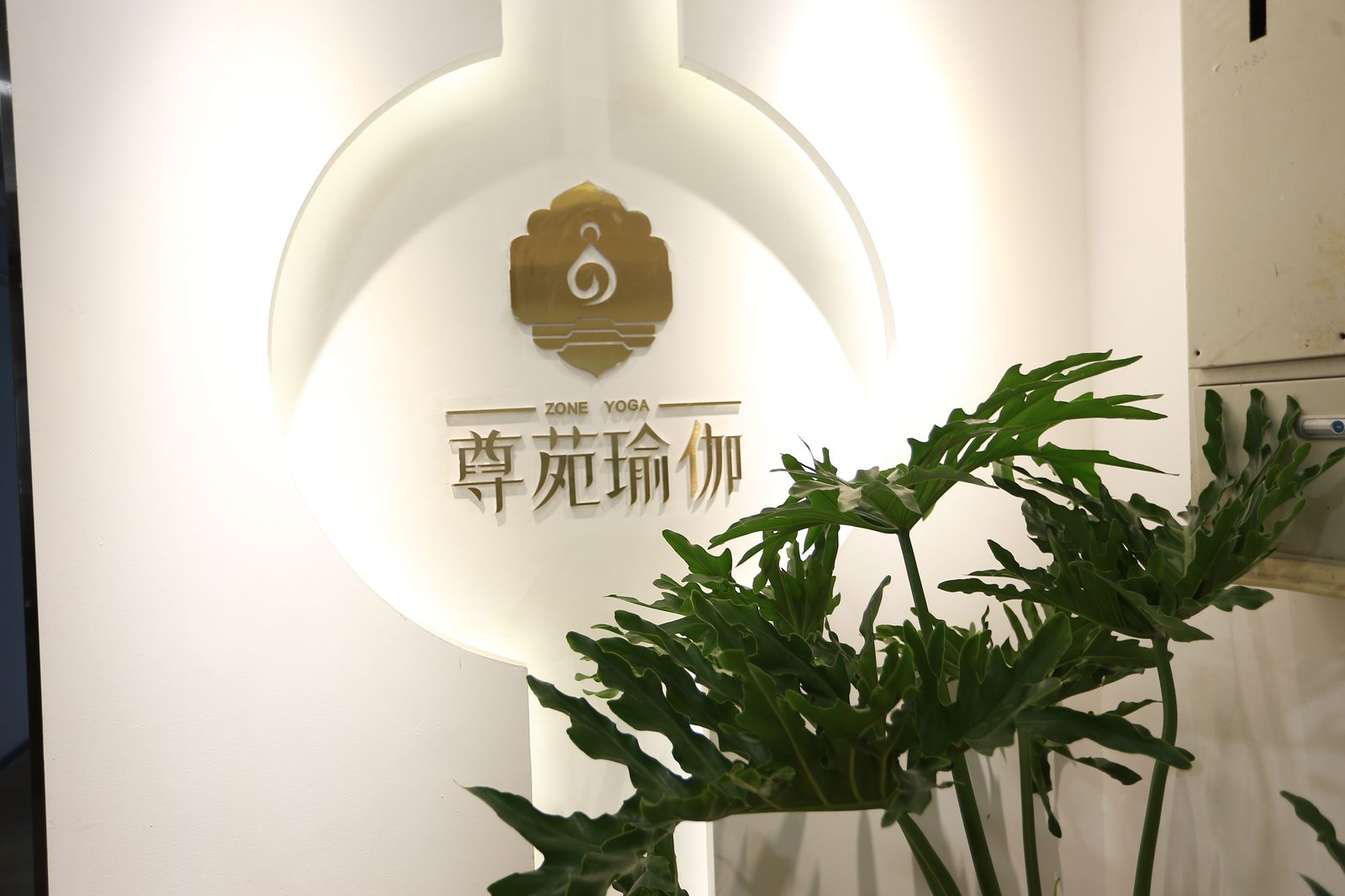 尊苑瑜伽普拉提(西丽店) · 品牌形象